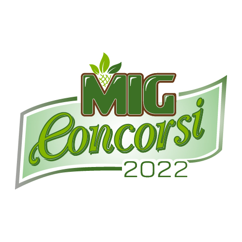 logo MIG concorsi 2022